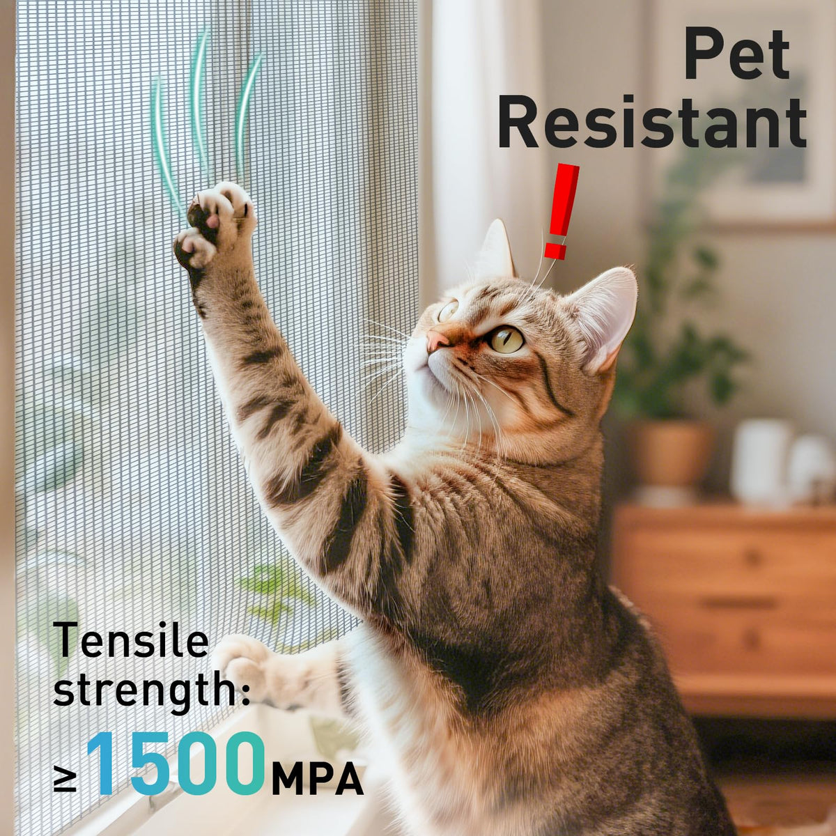 FCSOTSPS window and door replacement application supports versatile screening.