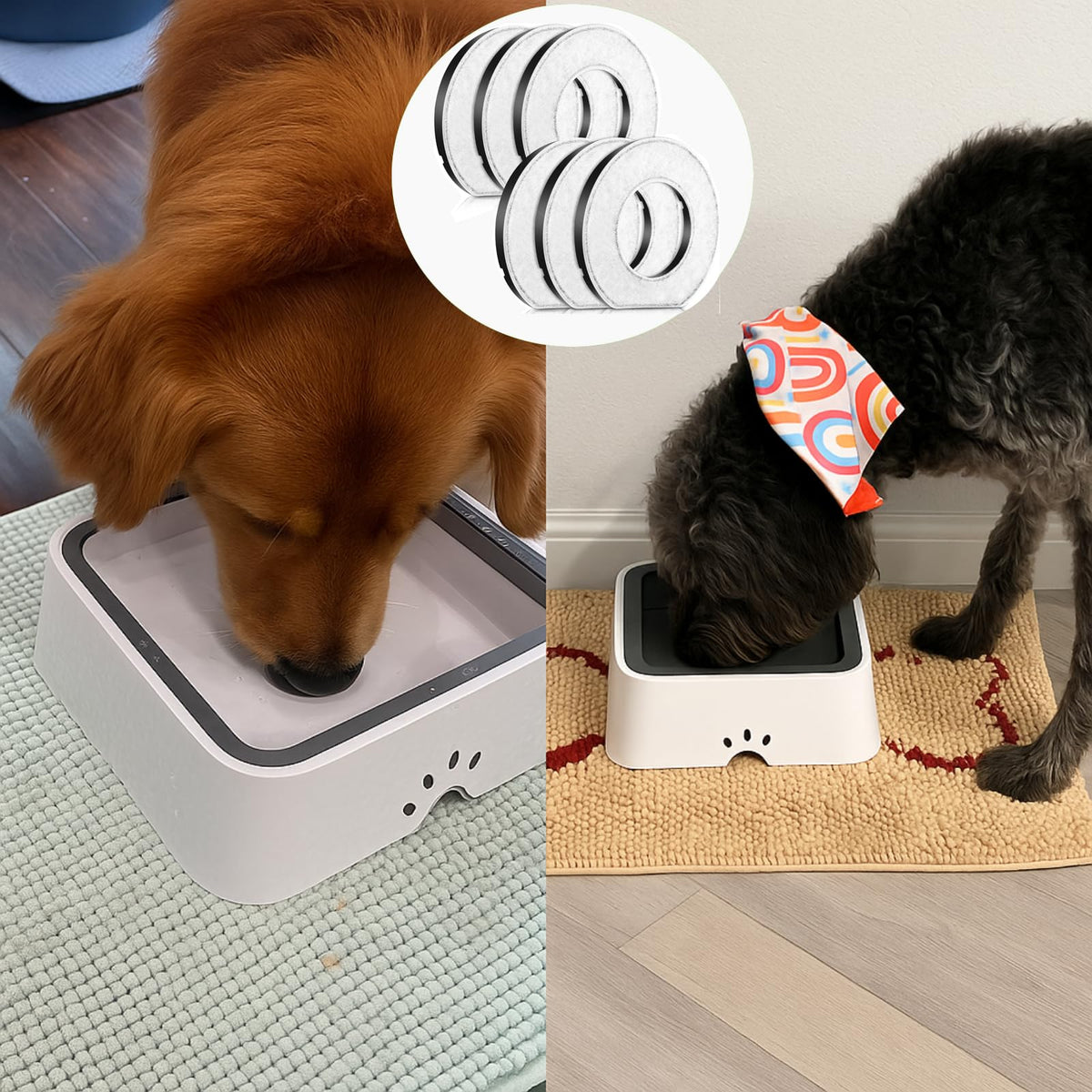 Feekoon quick tool-free setup for busy pet parents