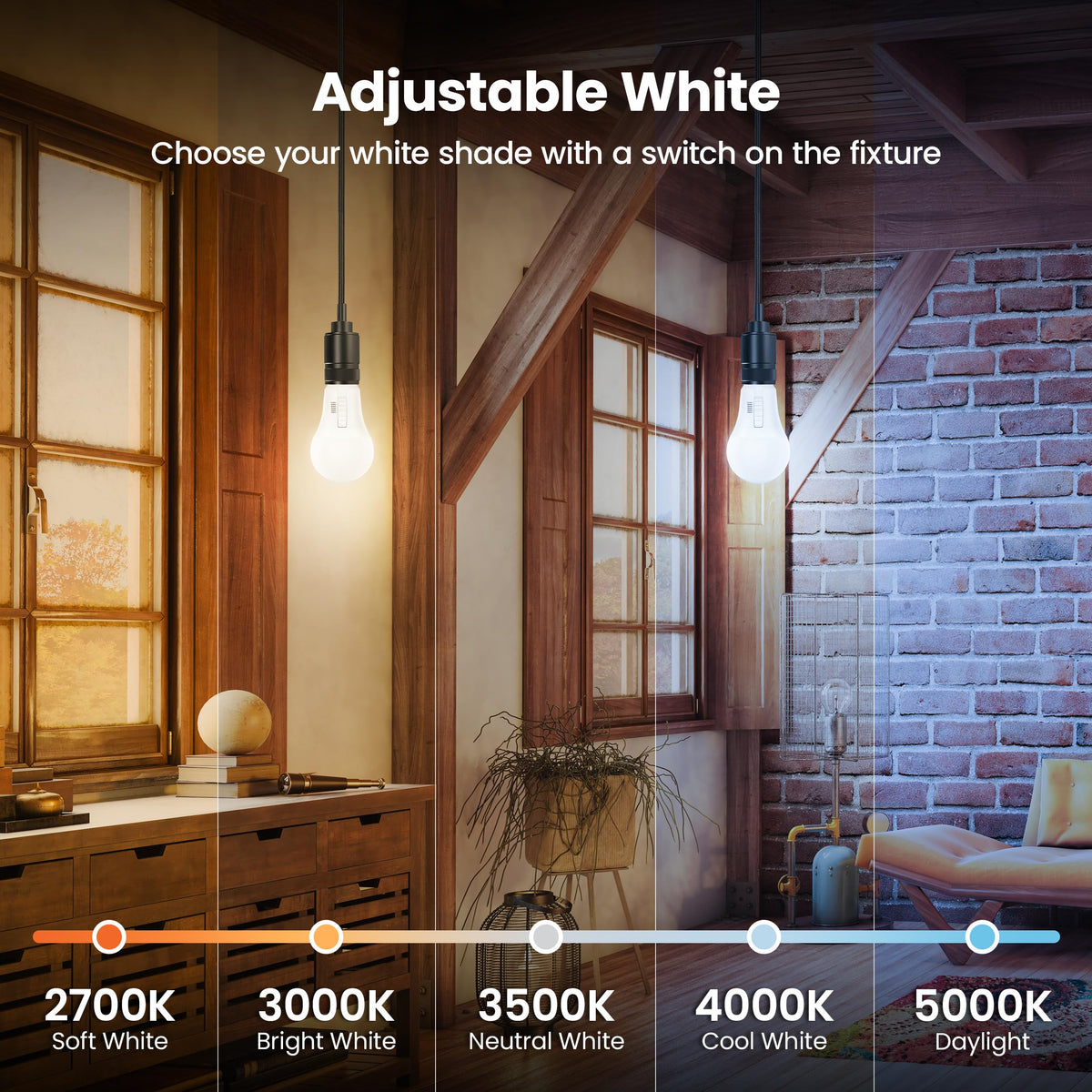 Feit Electric A19 LED bulb 3000K neutral light for daily tasks.