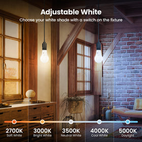 Feit Electric A19 LED bulb 3000K neutral light for daily tasks.