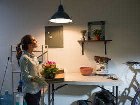 Feit Electric A19 LED bulb 5000K daylight for bright visibility.