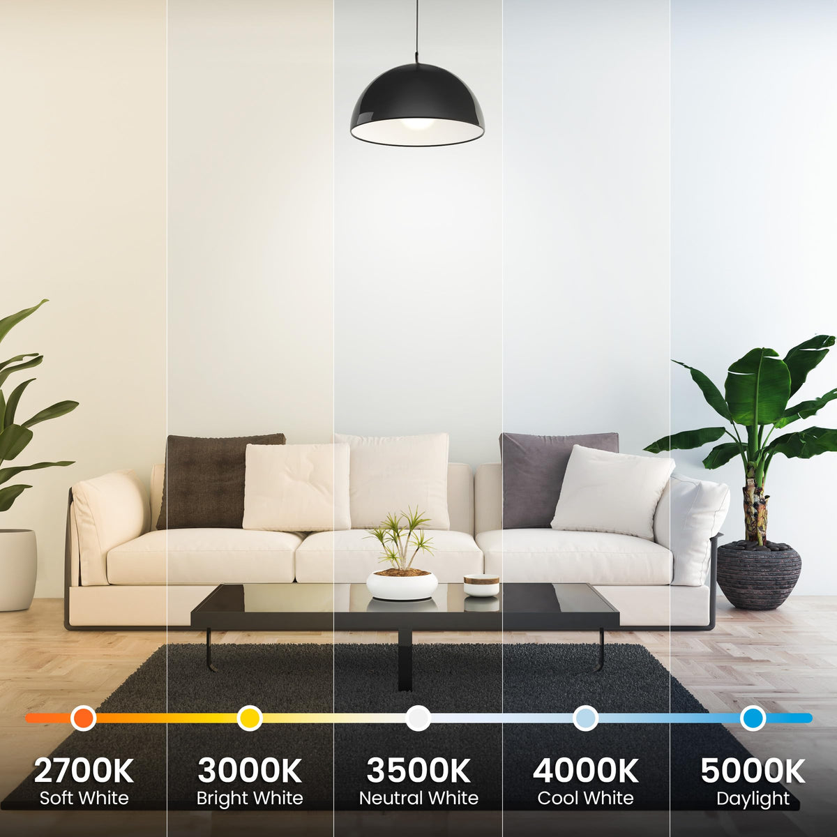 Feit Electric A19 LED bulb dimmable for smooth brightness control.
