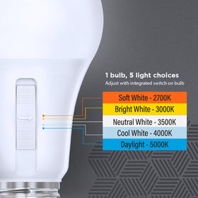Feit Electric A19 LED bulb with E26 base for broad fixture compatibility.