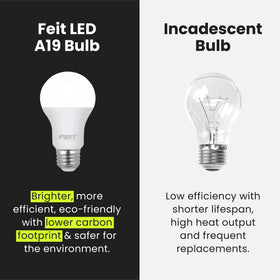 Feit Electric A19 LED bulb rated for 11,000 hours of life