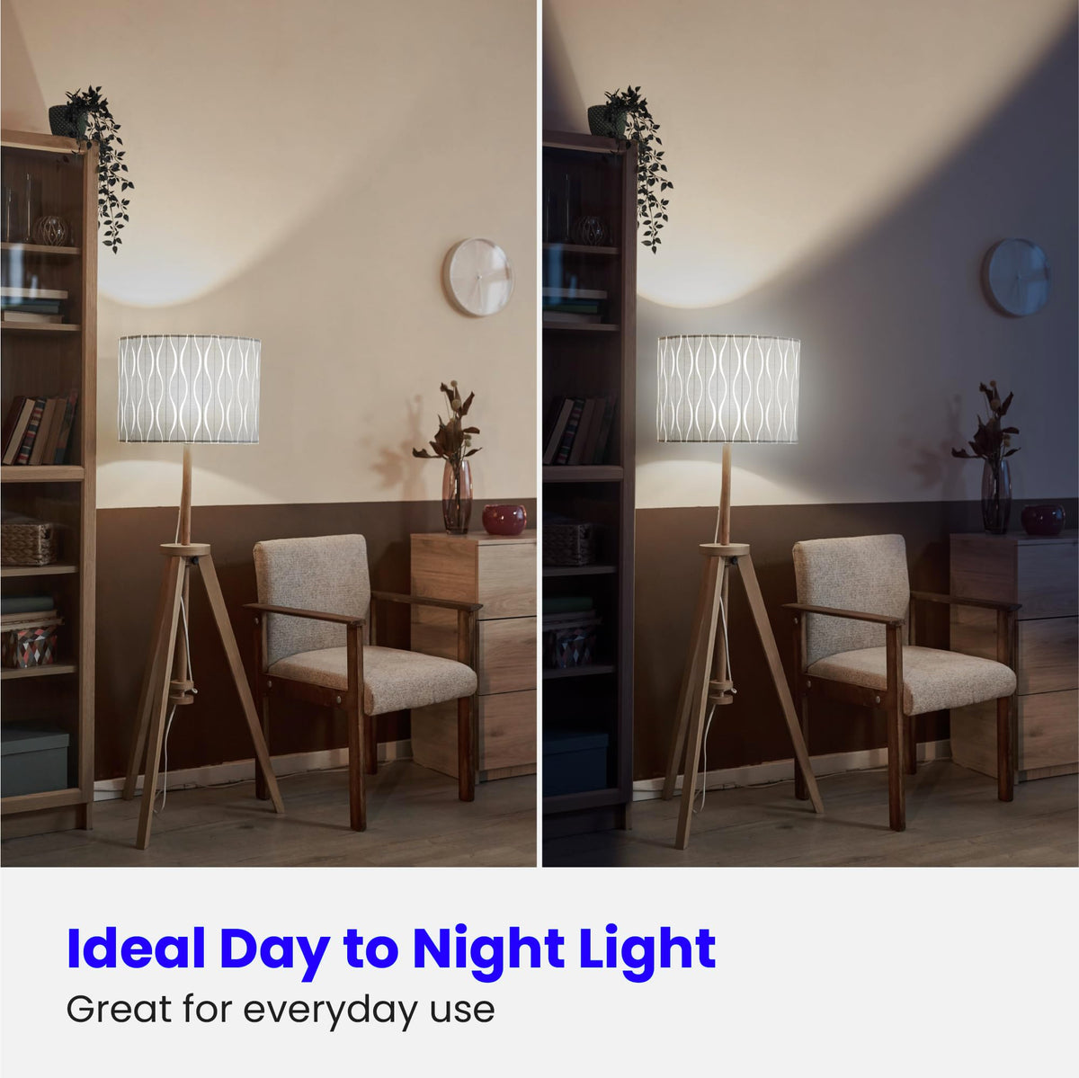 Feit Electric A19 LED bulb with E26 base for versatile fixtures