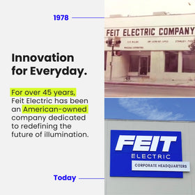 Feit Electric BR30 works with most LED dimmers for flexibility.
