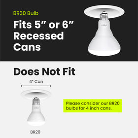 Feit Electric BR30 LED bulb suited for recessed can lighting