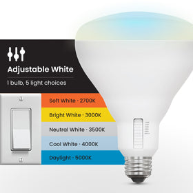 Feit Electric BR40 bulb offers energy efficiency and high CRI for true colors.