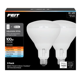 Feit Electric BR40 LED bulb front view for versatile energy-saving lighting