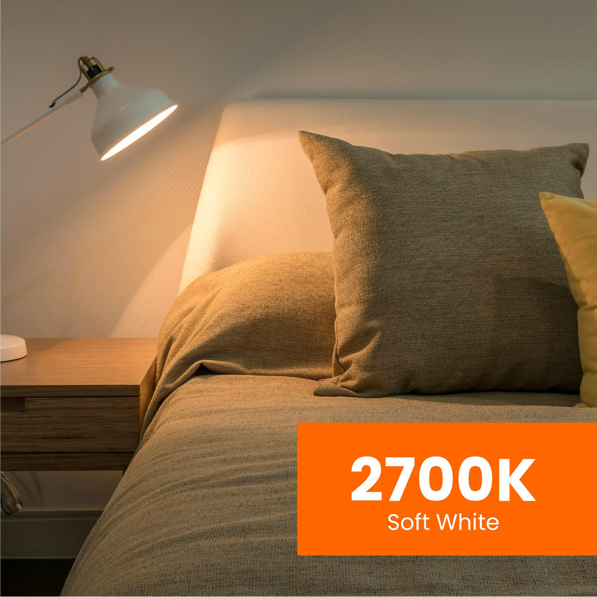 Feit Electric LED bulbs are Energy Star certified for efficiency.