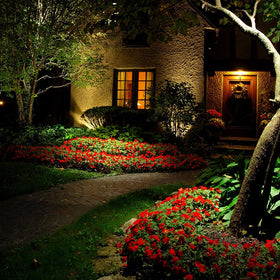 Feit Electric landscape lighting MR16 for garden accents.
