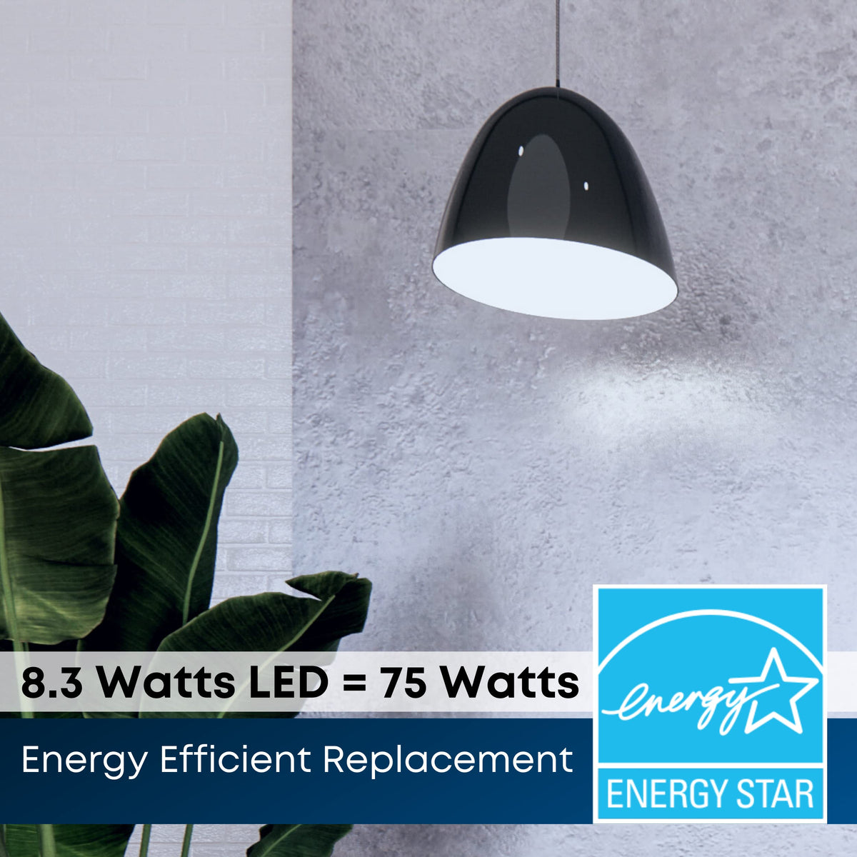Feit Electric PAR30L with 90 CRI renders colors vividly for true-to-life scenes