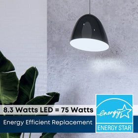 Feit Electric PAR30L with 90 CRI renders colors vividly for true-to-life scenes