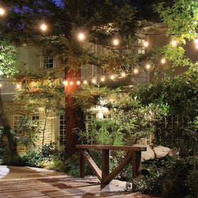 Feit Electric S14 bulb replaces standard E26 base in string lights.