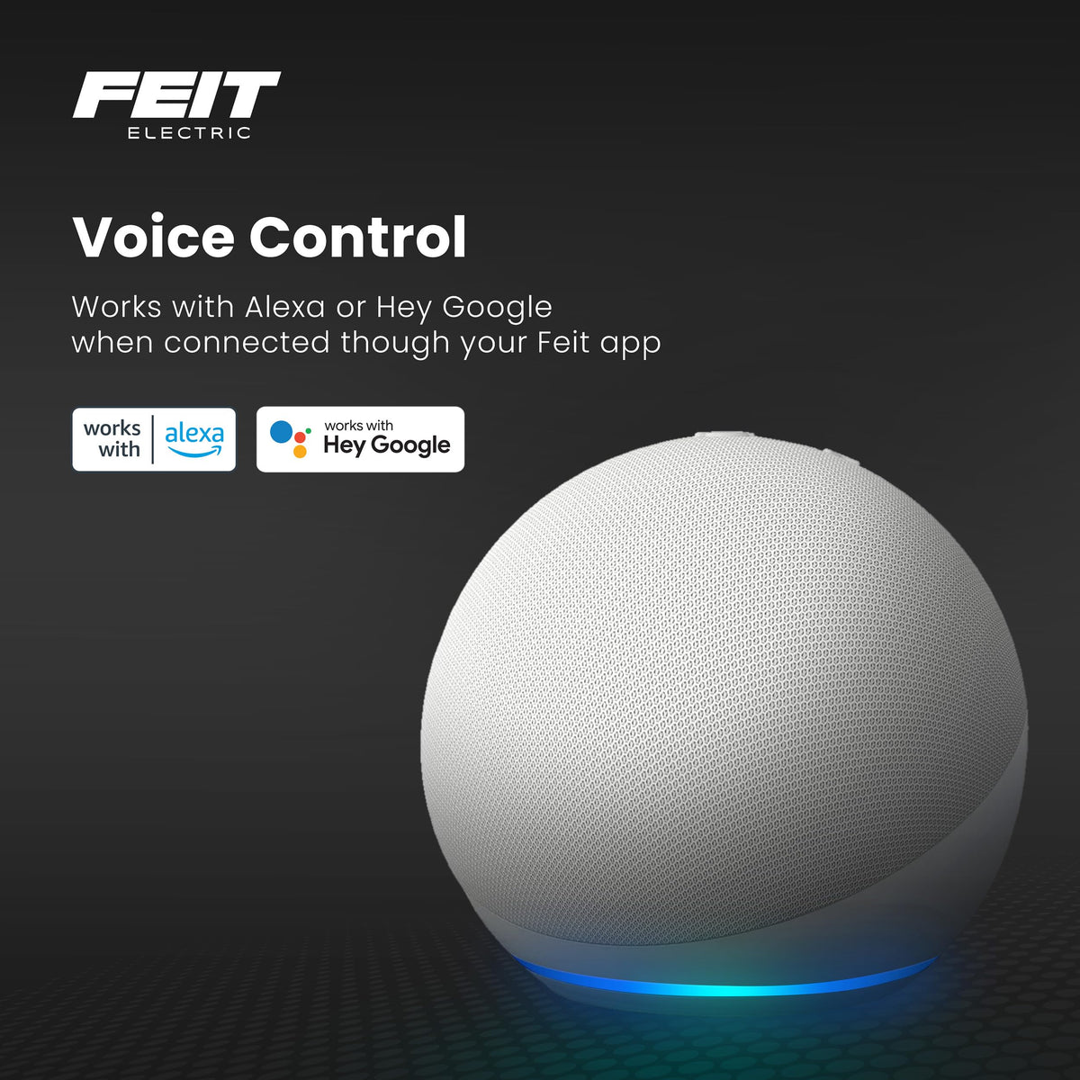 Feit Electric garage light with schedules and scenes for automated lighting