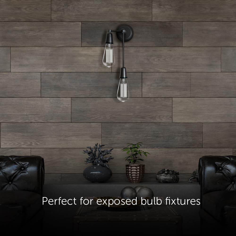 Feit Electric ST19 with E26 base for easy fixture compatibility