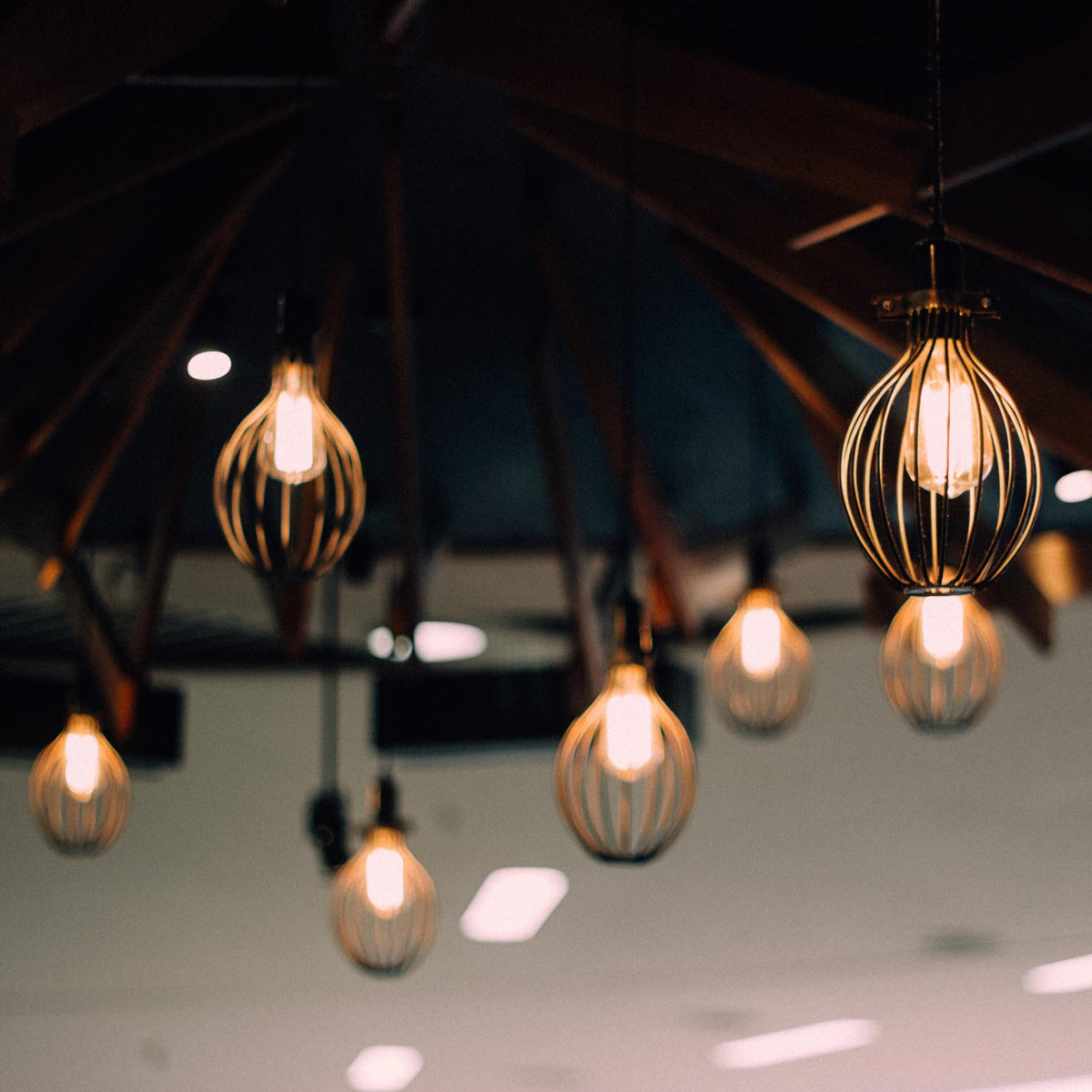 Feit Electric ST19 bulb highlighting long life up to 15,000 hours