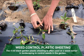 Feitore heavy-duty plastic roll serves as durable landscape fabric for yards.