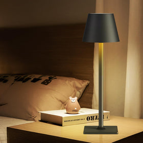 FenFud USB-C charging while in use for uninterrupted lighting