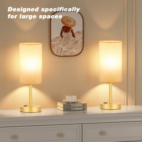 Living room setup showing Fenmzee touch lamp in use.