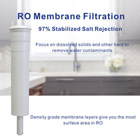 FILSADAE 50 GPD membrane element delivers efficient RO filtration.