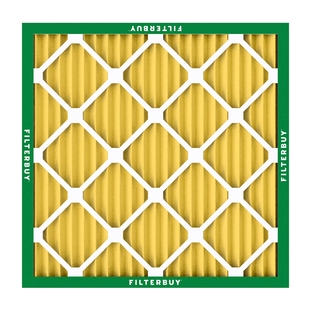 Filterbuy pet dander protection visual for daily home comfort.