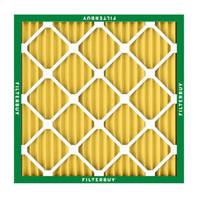 Filterbuy pet dander protection visual for daily home comfort.