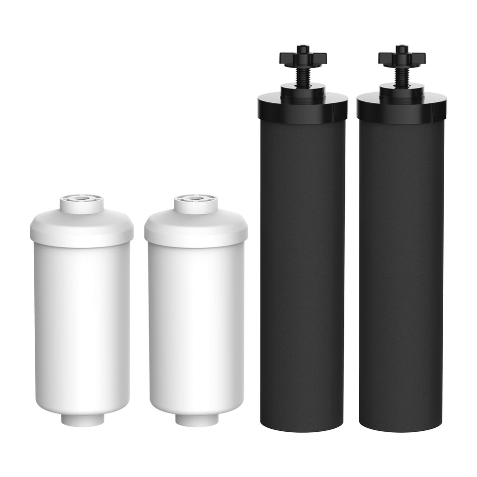 Filterlogic BB9-2 black-filter cartridge reduces chlorine taste for cleaner water