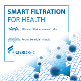 Filterlogic 3US-PF01 NSF/ANSI 42 certification badge indicating quality standards