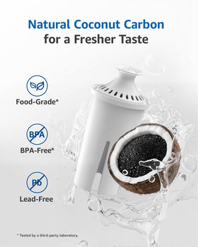 FilterLogic PF06 coconut shell activated carbon layer improving water flavor