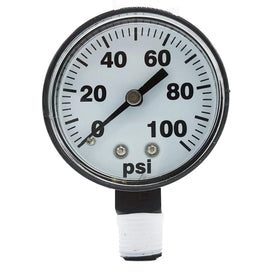 Fimco 5167007 pressure gauge with 2-inch face for accurate sprayer readings.