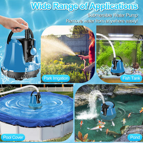 FineBud pump in action demonstrating portable water removal