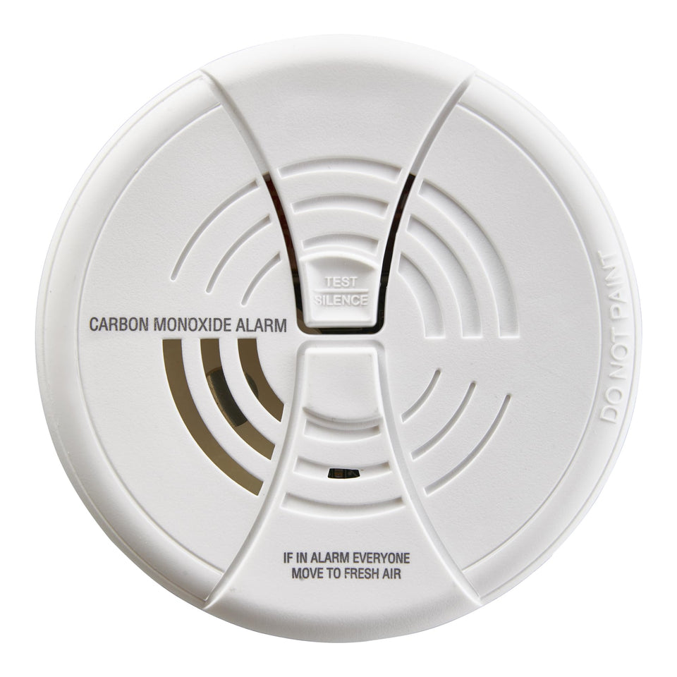 First Alert CO250 wall-mount carbon monoxide alarm showing compact design for homes.