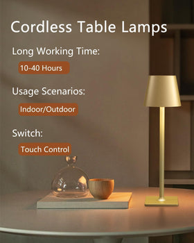 Fizrice lamp provides 250LM with stepless dimming for mood and task lighting.
