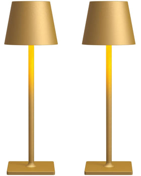 Fizrice cordless table lamp highlights 6000mAh battery for long-lasting ambience.