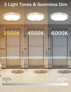 Remote control for Fizrice ceiling light operation