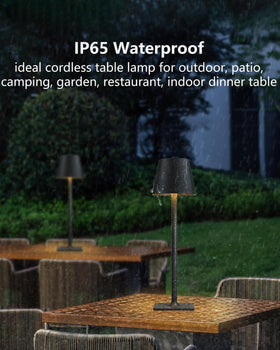 Fizrice modern black two-pack designed for restaurant and home setups.