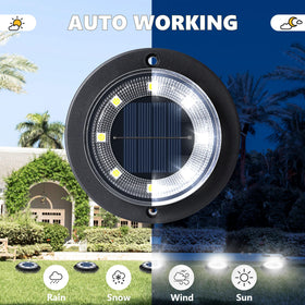 Flacchi solar lights nighttime landscape glow enhancing driveways and walkways.