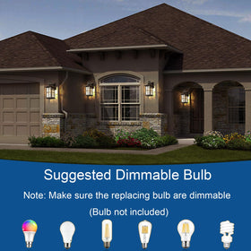FLEDAVID outdoor wall lantern in black finish brightens the driveway and patio.