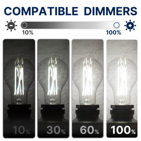 FLSNT 5000K daylight LED bulb for clear, task-focused illumination.