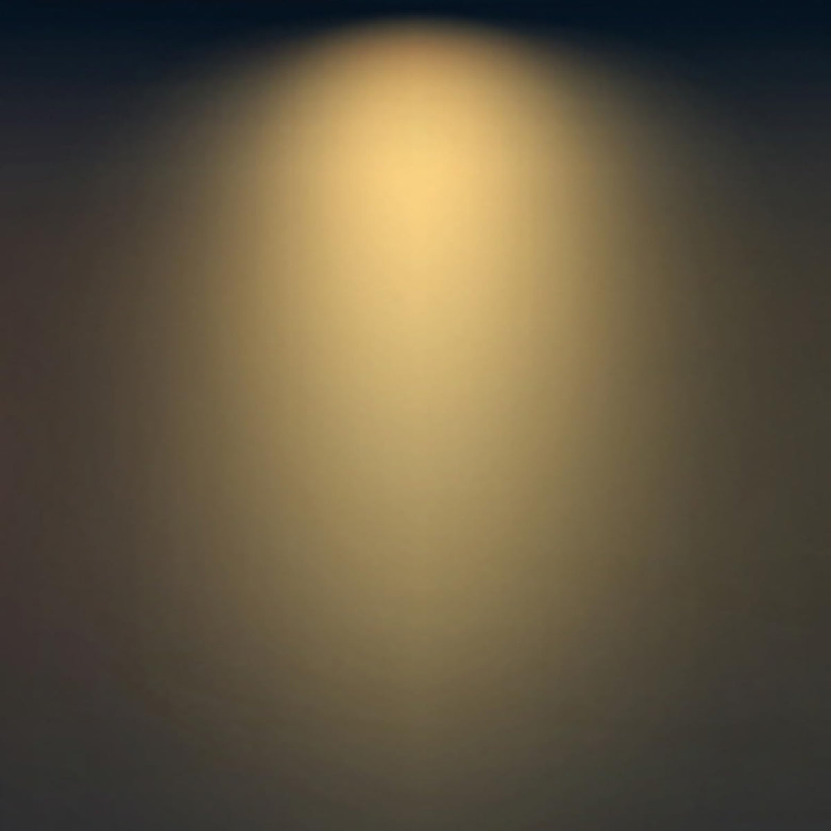 FLSNT B11 twelve-pack bulbs for consistent lighting