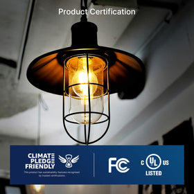 FLSNT E26 base installation in a standard fixture.