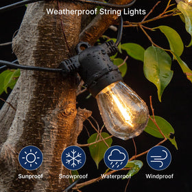 FLSNT Edison-style S14 bulbs in use on garden lanterns deliver vibrant visibility.