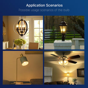 FLSNT 12-pack option suits homes, offices, and hospitality projects.