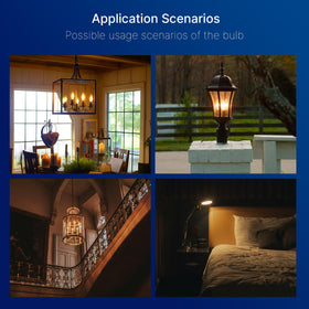 FLSNT ideal for indoor spaces like living rooms and hotels.