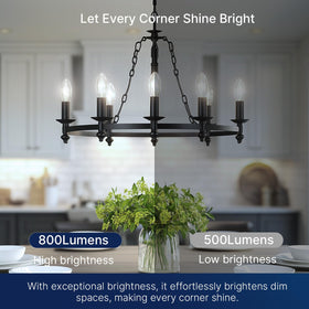 FLSNT indoor lighting bulb suitable for home, office, hospitality spaces