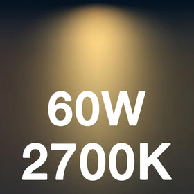 FLSNT pack of 12 bulbs ensures easy replacement and cohesive lighting.