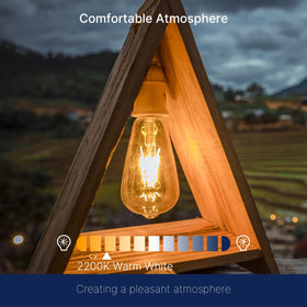 FLSNT ST19 400 lumens energy-saving replacement for incandescent bulbs.