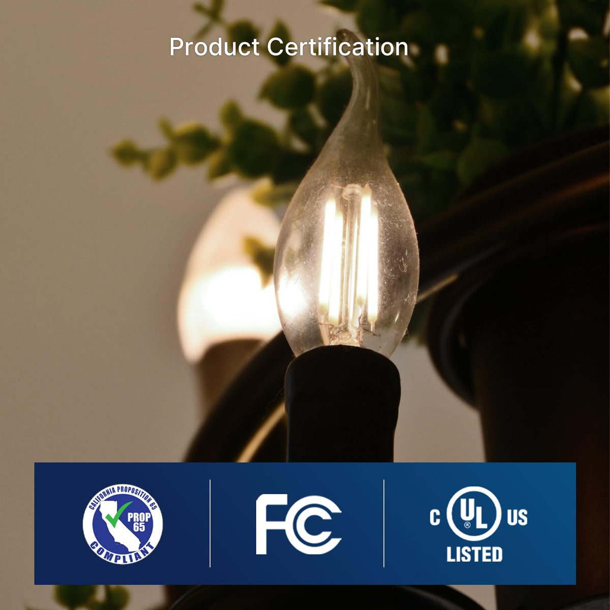 FLSNT UL-listed CA65-compliant bulbs for safe indoor use.