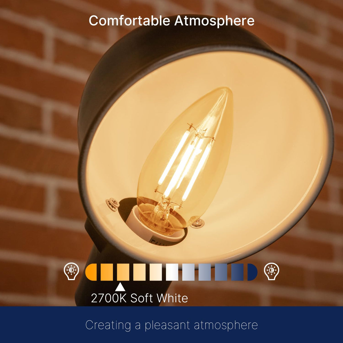 FLSNT versatile indoor-use bulbs fit homes, hotels, and offices.
